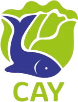 CAY