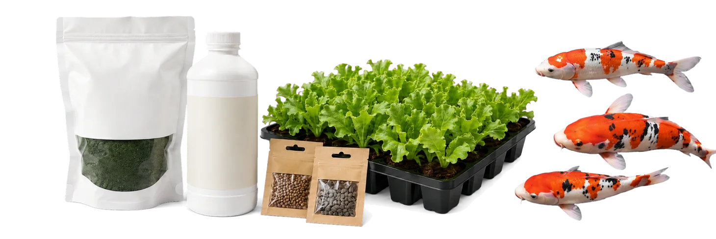 Kits, semillas, insumos y carpas koi para sistemas acuapónicos